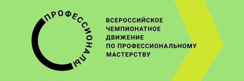 Федеральный проект «Чемпионат «Профессионалы»..